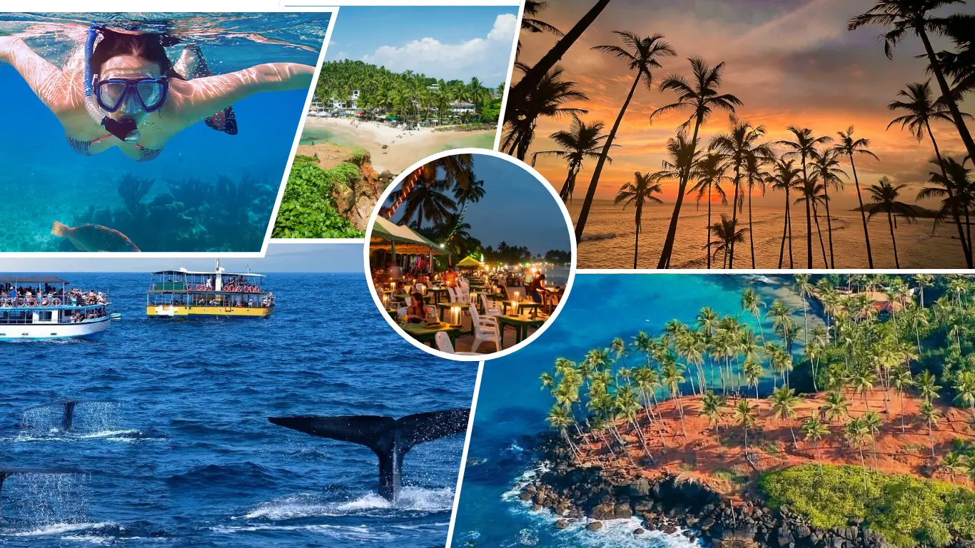 Mirissa Beach Landscape