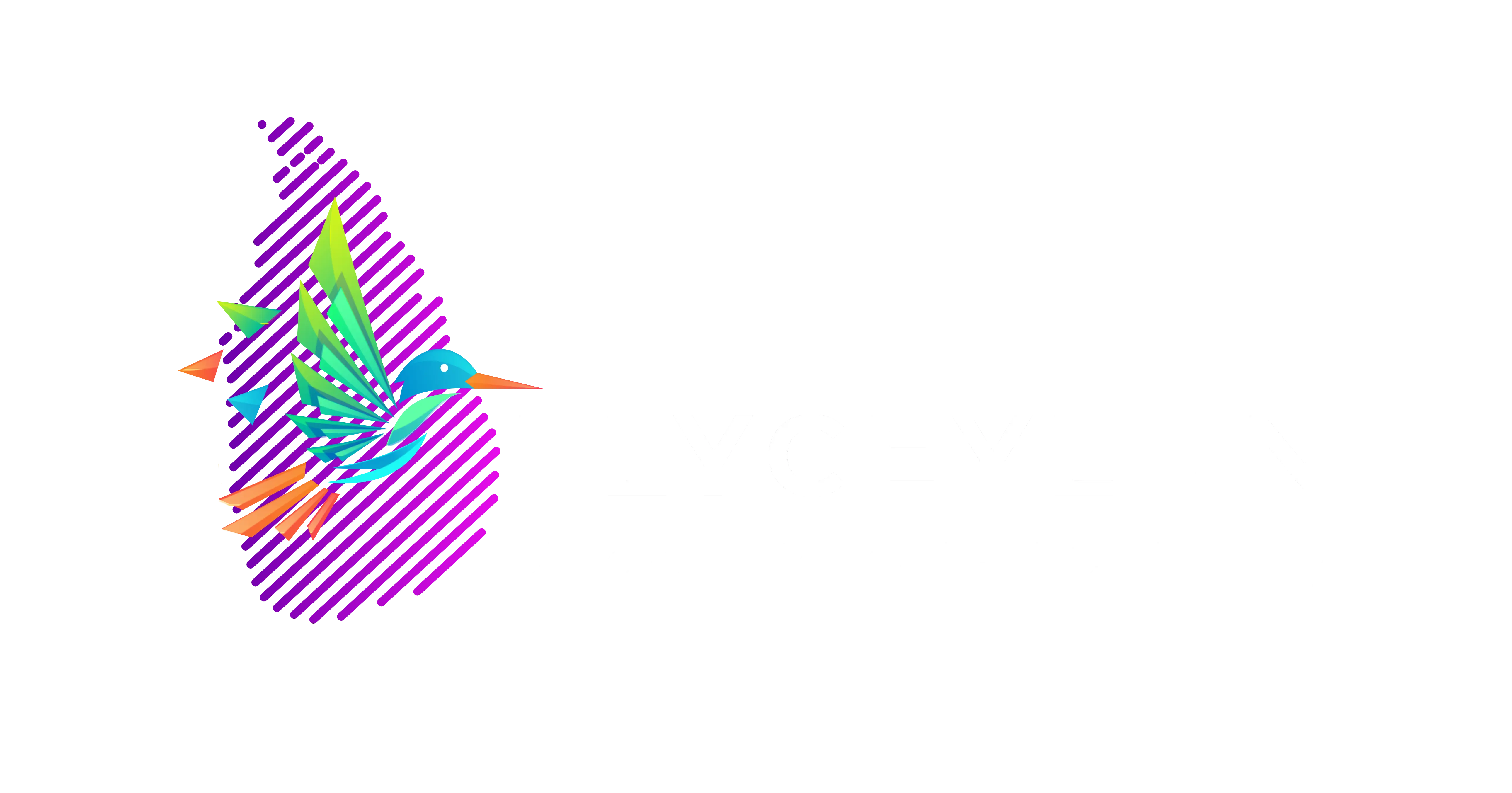 Flyceylon Logo